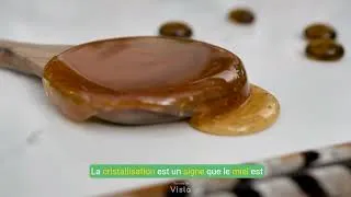 Miniature : Comment Choisir un Miel de Qualité : Guide Pratique