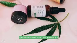 Miniature : "Les Bienfaits du CBD : Une Alternative Naturelle pour le Bien-être"