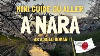 Miniature : Où aller dans Nara !( hidden gems, restaurants, mes fav )