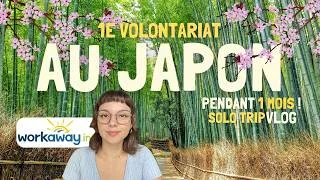 Miniature : VOLONTARIAT AU JAPON 🇯🇵 : vivre GRATUITEMENT ? | Workaway, avis, avantages, vlog ! je vous dis tout