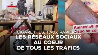 Miniature : Cigarettes, faux papiers... : les réseaux sociaux au coeur de tous les trafics ｜TF1 INFO