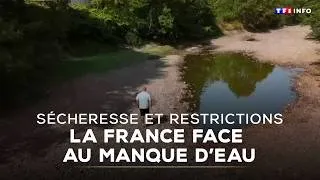 Miniature : Sécheresse et restrictions : la France face au manque d'eau    ｜TF1 INFO