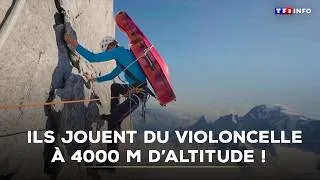 Miniature : 🗻🎻 Ils jouent du violoncelle à 4000 m d’altitude !｜TF1 INFO