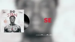 Miniature : TGANG LE TECHNICIEN - SE ft. PRINCE GUEDESSI (Audio Officiel)