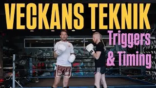 Miniature : VECKANS TEKNIK: Triggers & Timing