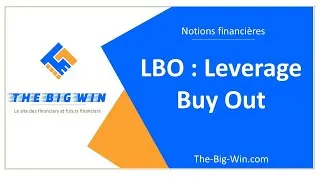 Miniature : LBO : comprendre le Leverage Buy Out en moins de 15 minutes, définitions exemples et formules