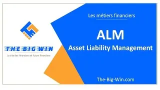 Miniature : ALM (Asset Liability Management) : tout comprendre en quelques minutes