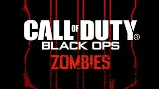 Miniature : Call of duty black ops 4 zombie en 2023?!