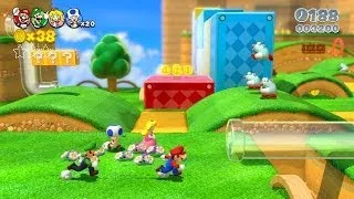 Miniature : Bug/Beug/Glitch Super Mario 3D World