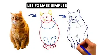 Miniature : Comment Tout Dessiner Facilement avec des formes simples? Astuces et Exemples