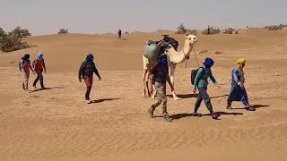 Miniature : Maroc - Trek et Yoga 2024