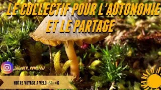 Miniature : Notre expérience au Collectif pour l'Autonomie et le Partage 🍀