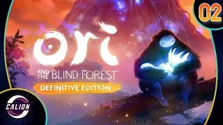 Miniature : 🔴 REDIFFUSION LIVE | Ori and The Blind Forest - Partie n°2 [FR]