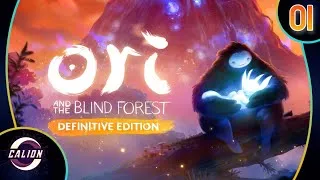 Miniature : 🔴 REDIFFUSION LIVE | ROCKET LEAGUE 2c2 | Ori and The Blind Forest [FR]