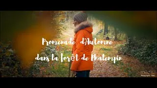 Miniature : Balade en forêt de Phalempin  Lumix GX8