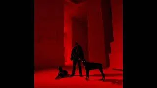 Miniature : SCH & SDM - Professionnels [INSTRUMENTAL]