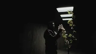 Miniature : Damso - Schéma (Clip Vidéo)