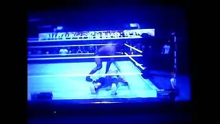 Miniature : Randy Orton vs John Cena