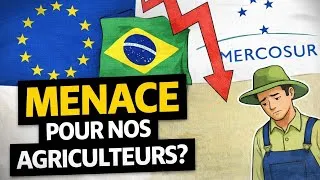 Miniature : Pourquoi l'accord Mercosur inquiète autant les agriculteurs Français?