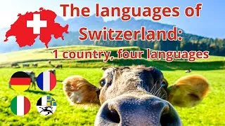 Miniature : The languages of Switzerland: Comparison between German, French, Italian, and Romansh
