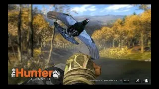 Miniature : 3 Fous réunis - CHASSE à TOUT sur The Hunter !