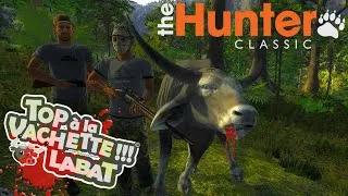 Miniature : CHASSE à la VACHE sur Piccabeen Bay - THE HUNTER CLASSIC