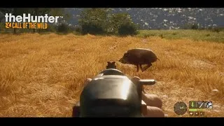 Miniature : Compilation de Tirs Cuatro Colinas ! The Hunter COTW