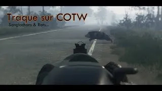 Miniature : Grande CHASSE aux NUISIBLES (Call of the wild)