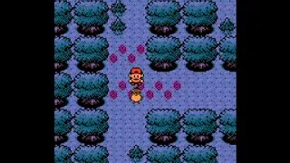 Miniature : En route vers Doublonville  - Pokémon Cristal #6