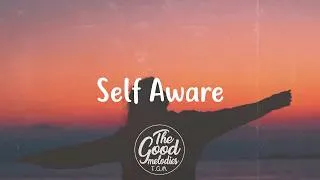 Miniature : Temper City - Self Aware (Lyrics / Lyric Video)