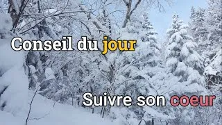 Miniature : Mon conseil du jour |suivre son cœur & prendre action