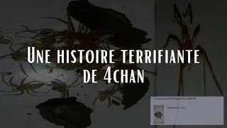 Miniature : Un utilisateur de 4Chan découvre un secret terrifiant dans une Wii U cassée | Mystères d'internet