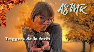 Miniature : ASMR  - Triggers de la forêt 🍁🪵 (bois, feuilles, pomme de pin)