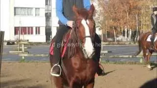 Miniature : { Mon manque...#Hutino ♥ }