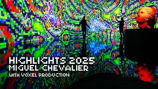 Miniature : Highlights 2025 - Miguel Chevalier