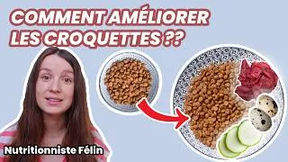 Miniature : Comment améliorer les croquettes de ton chat avec 5 aliments frais ?