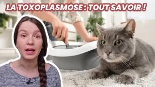 Miniature : Toxoplasmose : faut-il abandonner son chat quand on est enceinte ?