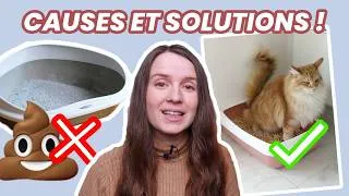 Miniature : En finir avec la malpropreté du chat : les erreurs à ne pas faire.