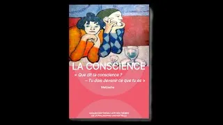 Miniature : Conférence la conscience  - partie emotions