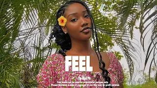 Miniature : ‎Afro Guitar   ✘ Afro drill instrumental  "FEEL"