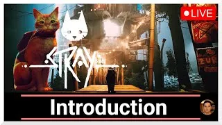 Miniature : Stray – L’Intro Musicale du Stream 🎵 | Hommage au chat du futur