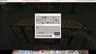 Miniature : Minecraft, une simulation de vie. (Episode 2)
