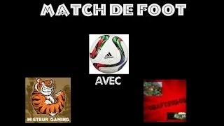 Miniature : Petit match de foot ( avec Mister Gaming et Crafteur40 )