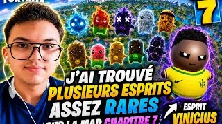 Miniature : J'ai trouvé plusieurs esprits rares 