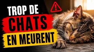 Miniature : En période de chaleur, ces 6 comportements peuvent