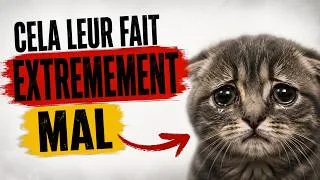 Miniature : C’est Nocif Pour Votre Chat
