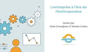 Miniature : L'entreprise à l'ère de l'Anthropocène - Webinaire The Other Economy