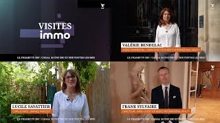 Miniature : VISITES IMMO - TRAILER ÉMISSION (3/3)