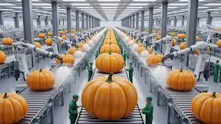 Miniature : Inside a Modern Pumpkin Factory : From Pumpkin Field to Puree & Premium Seed Oil | Full Process AI