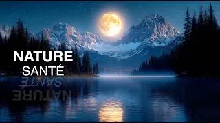 Miniature : 🌙 Vibrations Nocturnes & Harmonies Musicales | Voyage Relaxation Profonde